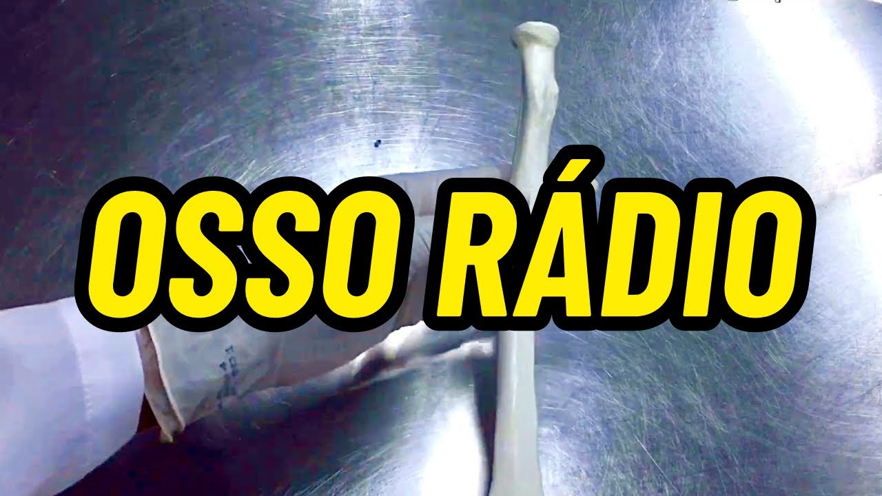 ACIDENTES ÓSSEOS DO RÁDIO
