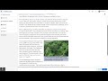 Mayan and Aztec Civilizations Insights Through Time