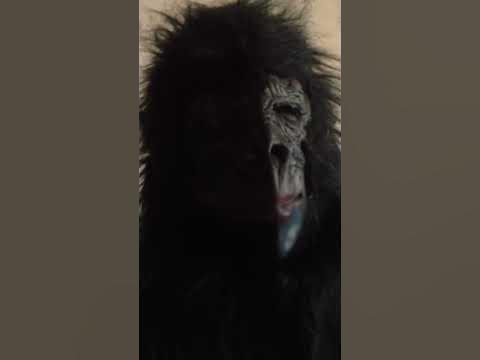 Белая горилла начинает дело - YouTube