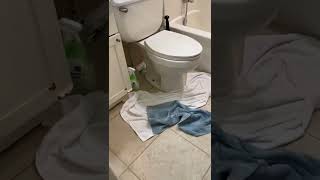 Offset Hinges Help Enlarge a Bathroom Door For Easier Access #shorts Wealth