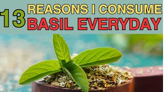 13 Health Benefits of Eating Basil Leaves Daily | Basil Health Benefits | Tulsi Niazbo