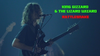 King Gizzard & the Lizard Wizard Perform “Rattlesnake” Live at Webster Hall | Pitchfork Live