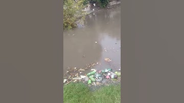 pond (johad) in Bhagwari kalan  #tuitioncenterbhagwari