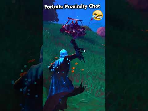 Remember Fortnite Delulu?