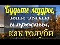 Простота, добрые правила и привычки в отношении к ближним