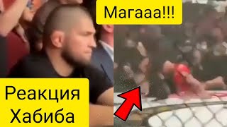 Реакция ХАБИБА на бой Исмаилова и Минеева 2. Мага Исма vs Владимир Минеев