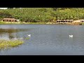 NOSSA ÁGUA QUE VEM DA LAGOA DEU PROBLEMA E FUI COM PAI, OLHA O'QUE TINHA ACONTECIDO