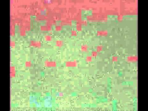 معاكسه البت سالي 