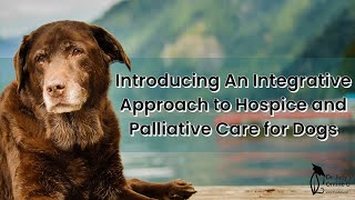 Introducing An Integrative Approach to Hospice and Palliative Care for Dogs