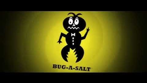 TV Commercial Spot - Bug A Salt Original Salt Gun - Salted Campaign