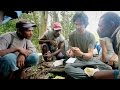 Bird Research and Behavior Insights