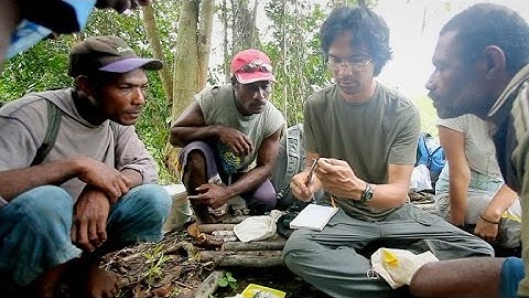 Meet the Team Doing Groundbreaking Evolutionary Research