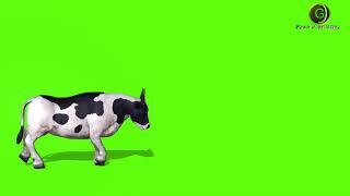 Cow Green Sceen HD