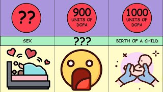 Comparison: Human Pleasure