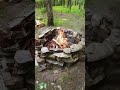 FIRE PIT IN WOODS 🔥🔥🔥🔥#campfire #firewood #fire #relaxing #peaceful #relax #nature #beautiful