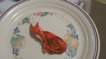 Why are rusty crayfish bad?