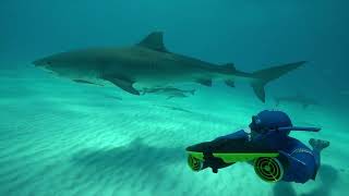 Master The Depths Unleash Sublue Navbows Power