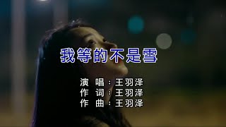 我等的不是雪-王羽泽-主唱 KARAOKE