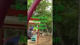Download Lagu Tinggal Kenangan...Kebun Raya Samarinda_Cah Weru MP3 Download Lagu Tinggal Kenangan...Kebun Raya Samarinda_Cah Weru MP3