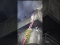 Woman Chooses Her Dogs First in Burning Building 🔥🐶 Brave or Risky? #shorts #heromoments #firerescue