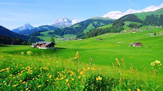 Mental Overload Relief 🌿 Calm Piano Music with Nature screenshot 4