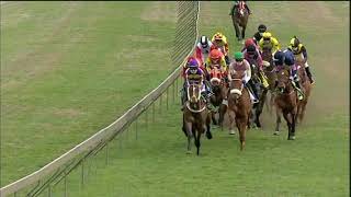 Vidéo de la course PMU PRIX TRACK & BALL GAMING FM 68 HANDICAP
