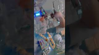 Vuk M. Djuricic Upao Na Žurku U Indiju