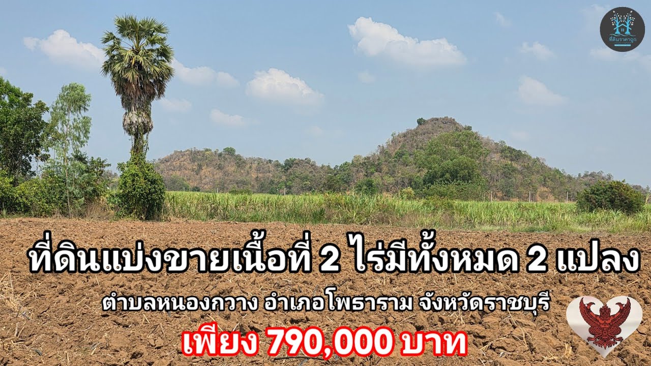EP.17/2026❗️ที่ดินแบ่งขายเนื้อที่ 2 ไร่❗️เพียง 790,000 บาท วิวภูเขา ดินดีใกล้ถนนหลัก #ที่ดินราชบุรี 