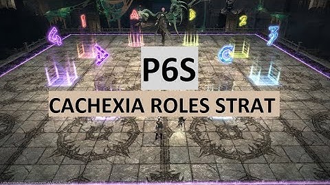 P6S Cachexia 1 Roles Strat