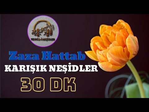 Zaza Hattab || Karışık Türkçe Neşidler (30 Dk) En Çok Aranan Neşidler || Müziksiz Ezgiler