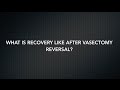What is Recovery Like After A Vasectomy Reversal?
