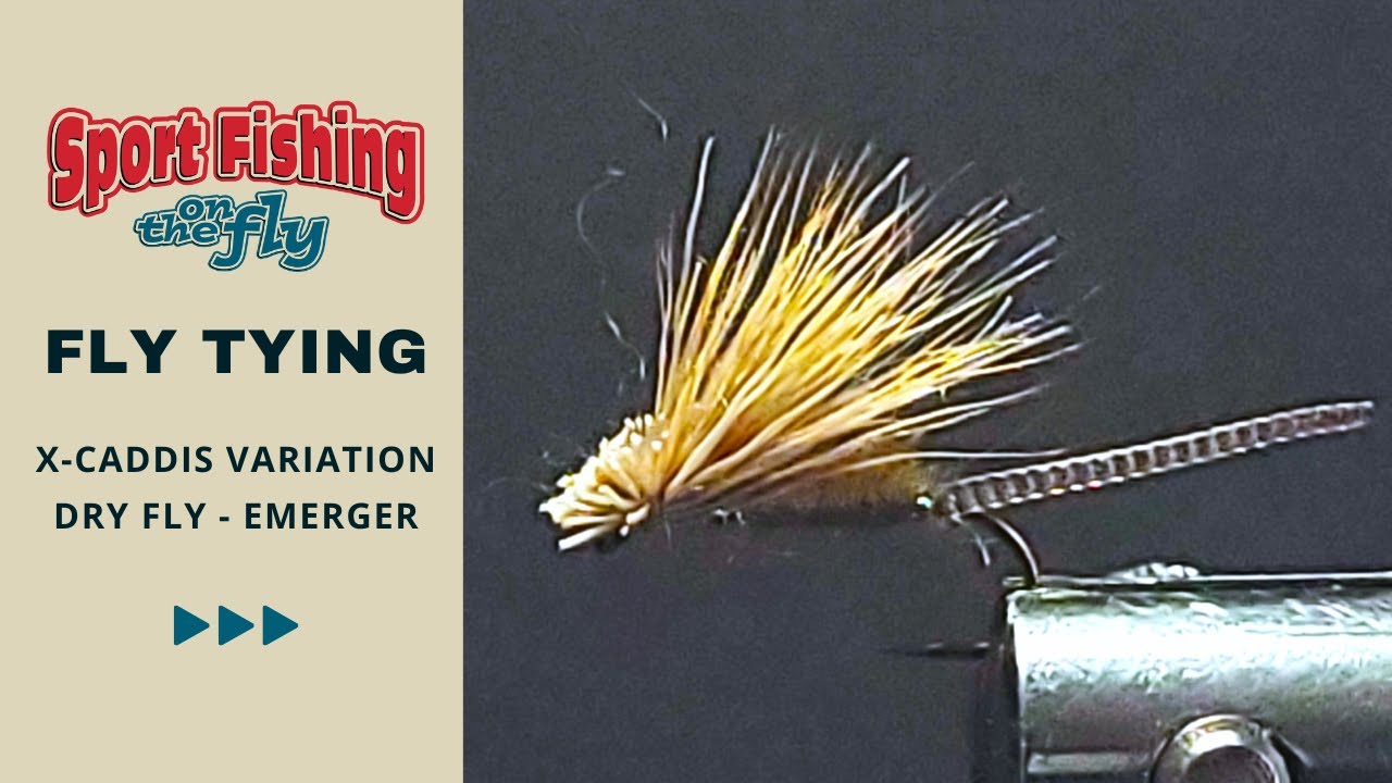 FLY TYING THE XCADDIS VARIATION DRY FLY/EMERGER YouTube