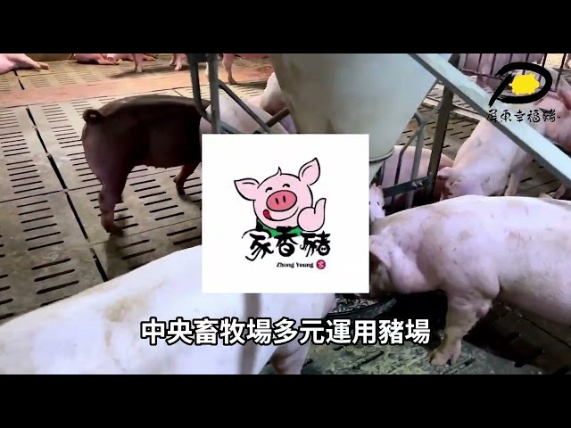 雅稻國際影視傳媒工作室 - 