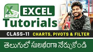 Excel 2007 Charts & Pivot Table in Telugu tutorial for beginners Class-11 by Vamsi Dande