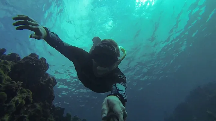 Bob Soto/Cheeseburge...  Reef. Grand Cayman (by Sn...