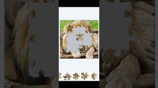Gameplay Puzzle Jigsaw Ep25 screenshot 5