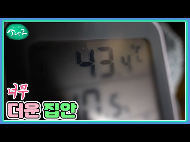 너무 더운 집안 MBN 260829 방송