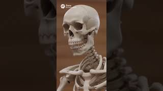 #Chipotle #Skeleton #chestermcfly #followmcfly #phillymcfly  #comedy #theothersideofmakebelieve #ai