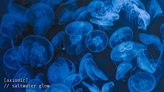 Saltwater Glow 🌊 Positive Energy Music | Morning Chill Deep House 2026 ♬ˎˊ˗ Axiomic