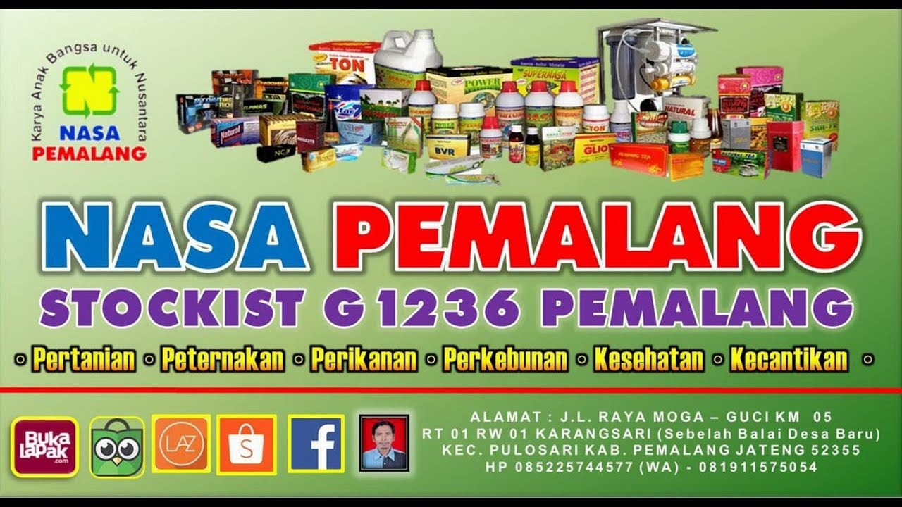 TANGGUH PROBIOTIK : INILAH CARA MEMBUAT PAKAN TERNAK PERMENTASI DENGAN