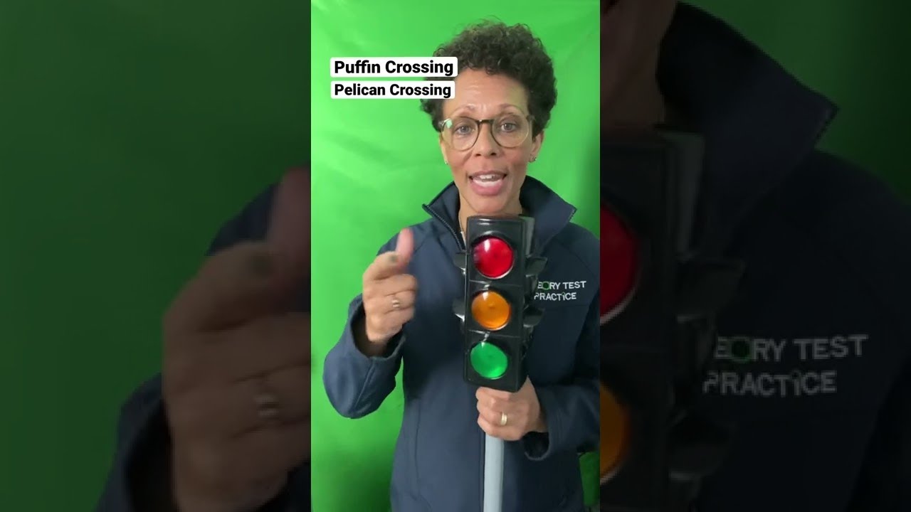 Разница между PUFFIN и PELICAN Crossings I Теоретический тест #Shorts