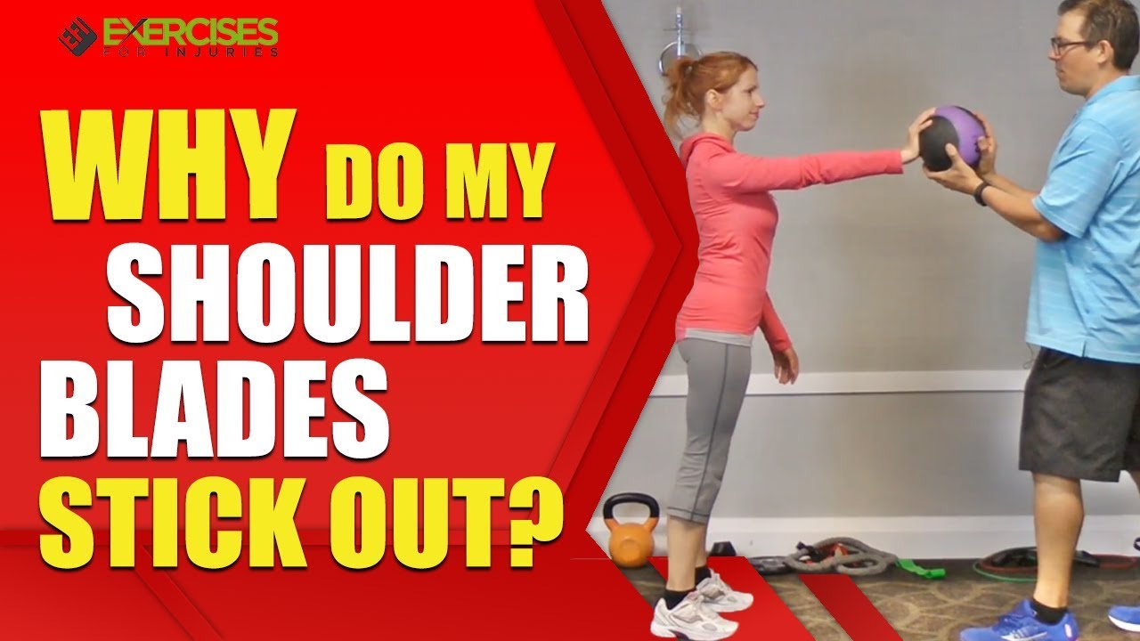 Why Do My Shoulder Blades Stick Out? YouTube