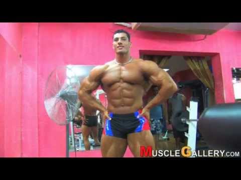 mohamed elatar young bodybuilder mp4