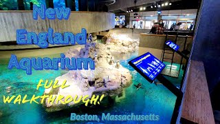 A Trip to the New England Aquarium, Boston, MA, May 2021. Full Walkthrough.