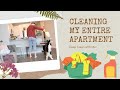 Cleaning My ENTIRE Apartment - Clean with Me and My Cat!