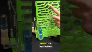 Large Acrylic Ant Farm Habitat – 6 Layer Transparent Ant Nest with Feeding Area, Educational Insect