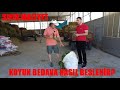 KOYUNUN BEDAVA BESLENDİĞİNİ GÖRDÜM | DOMATES YAPRAĞI İLE | SIFIR MALİYET