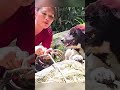 🐕 Hero Dogs and Brave Girl Save Goat Stuck Deep in the Forest 🐐