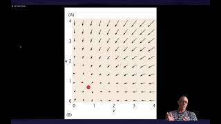 Rate equations for the mutual repression switch