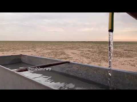 شيلة الربيع خالد الشليه 